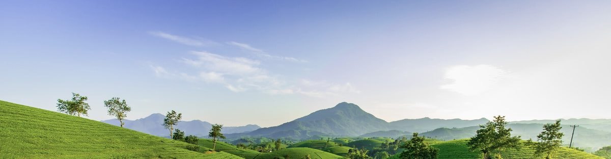 Innovative Solutions, Sustainable Performance