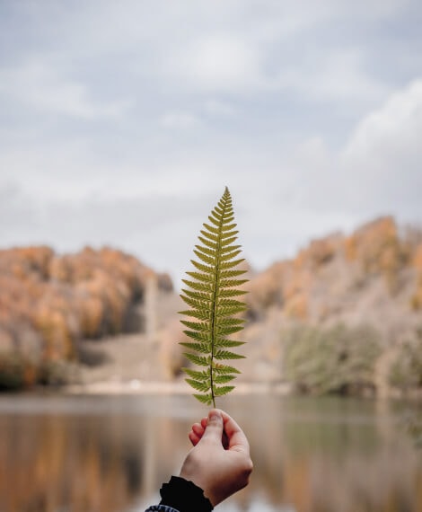 درباره ما