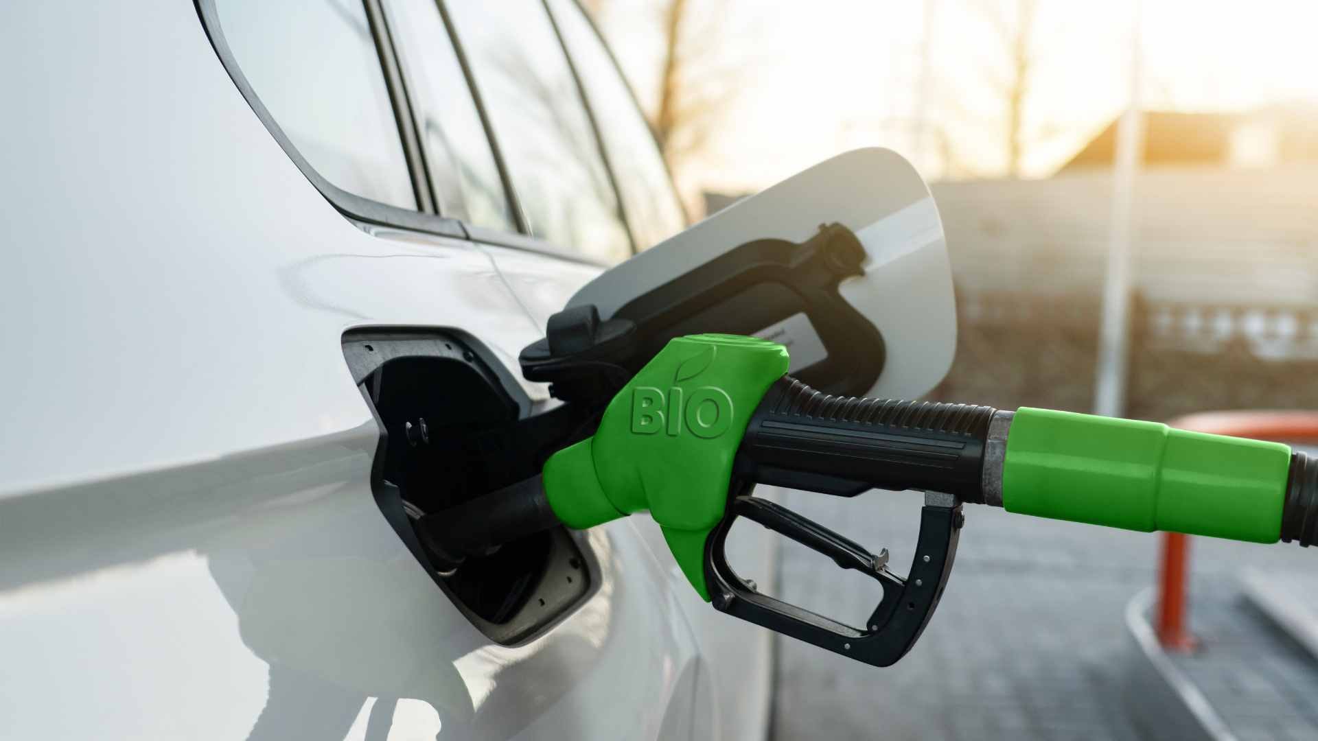 Biofuel