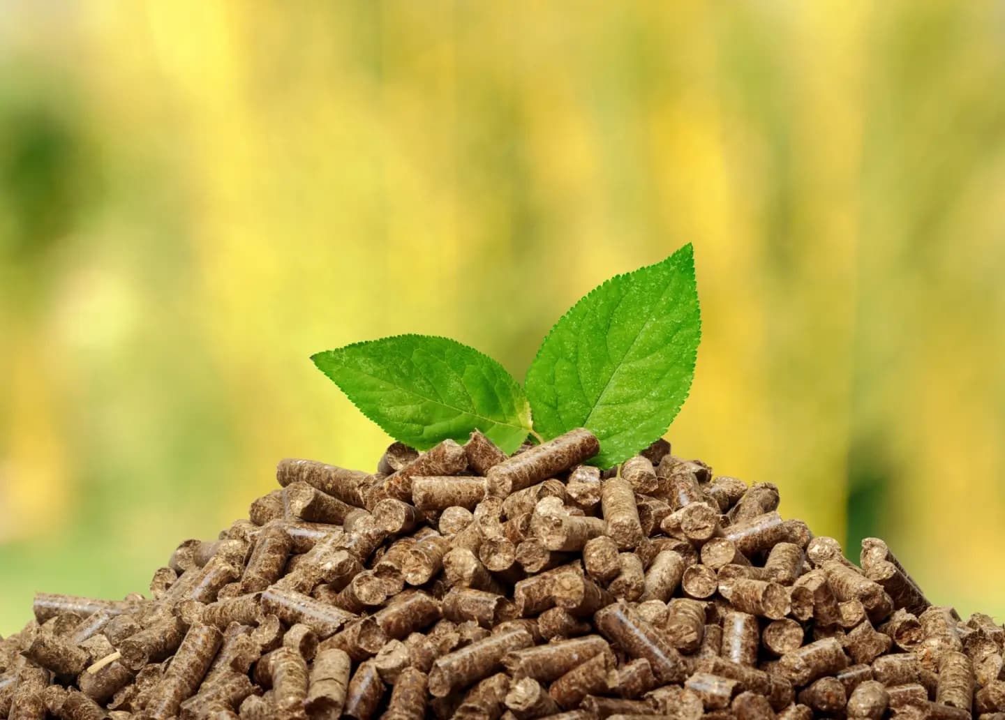 ECOENZYME-CELL BOOST — Multi Enzymes