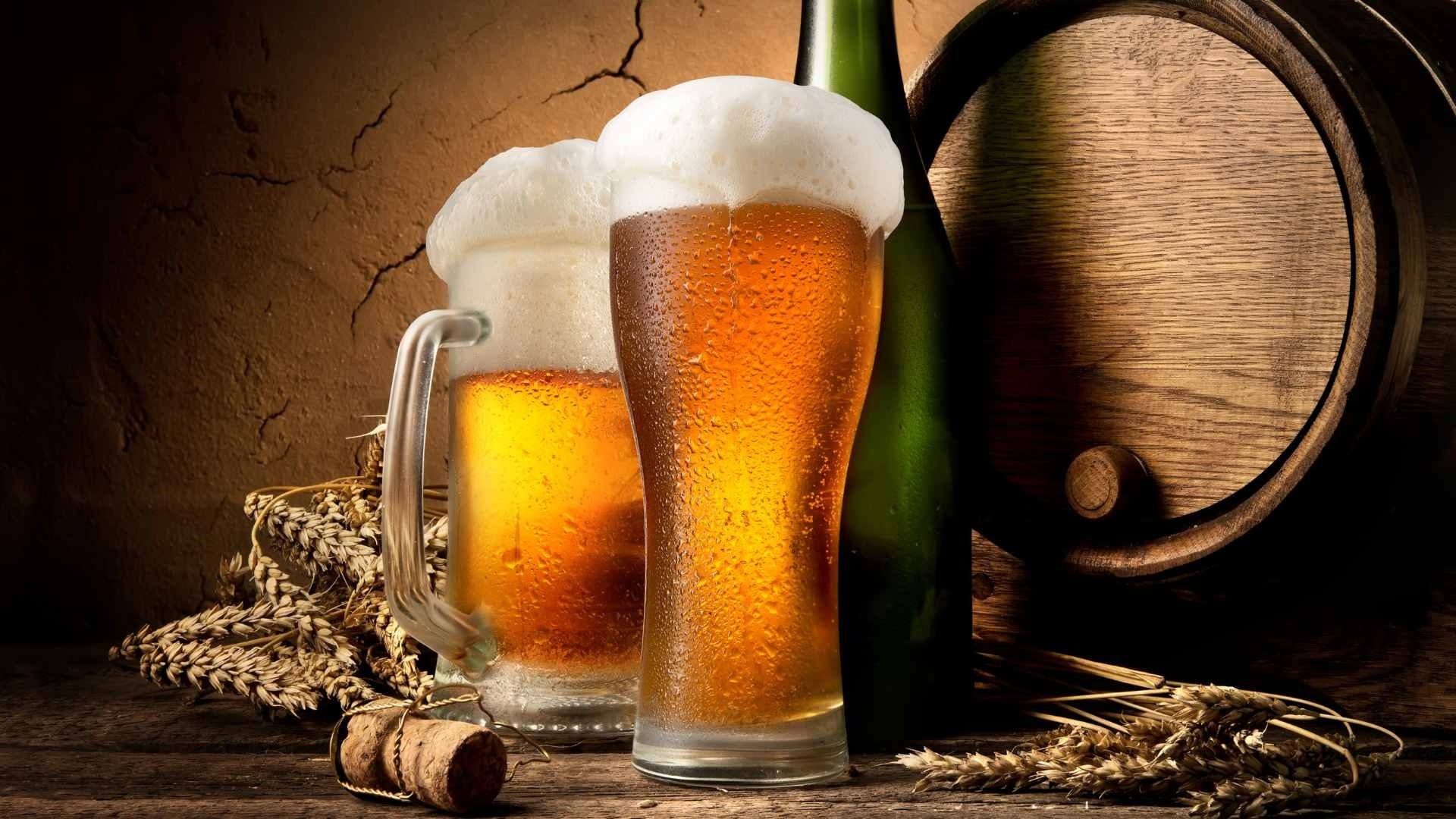 Malt & Brewery
