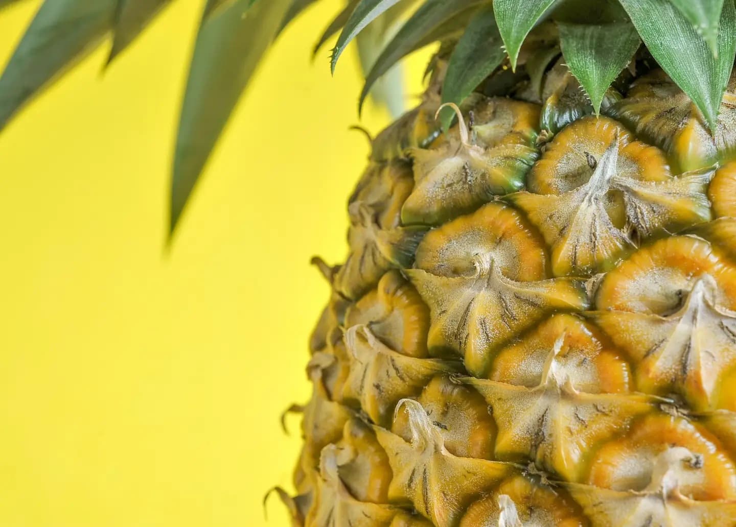 ECOENZYME-BROM — Bromelain