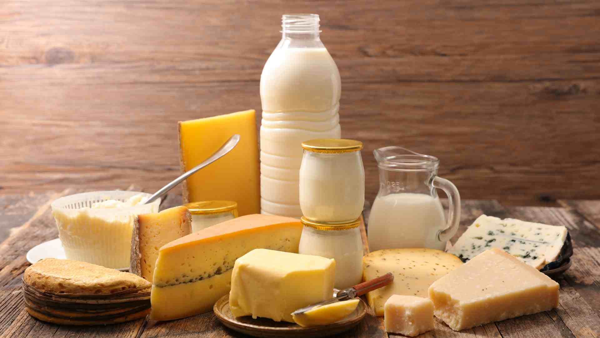 Dairy & Protein
