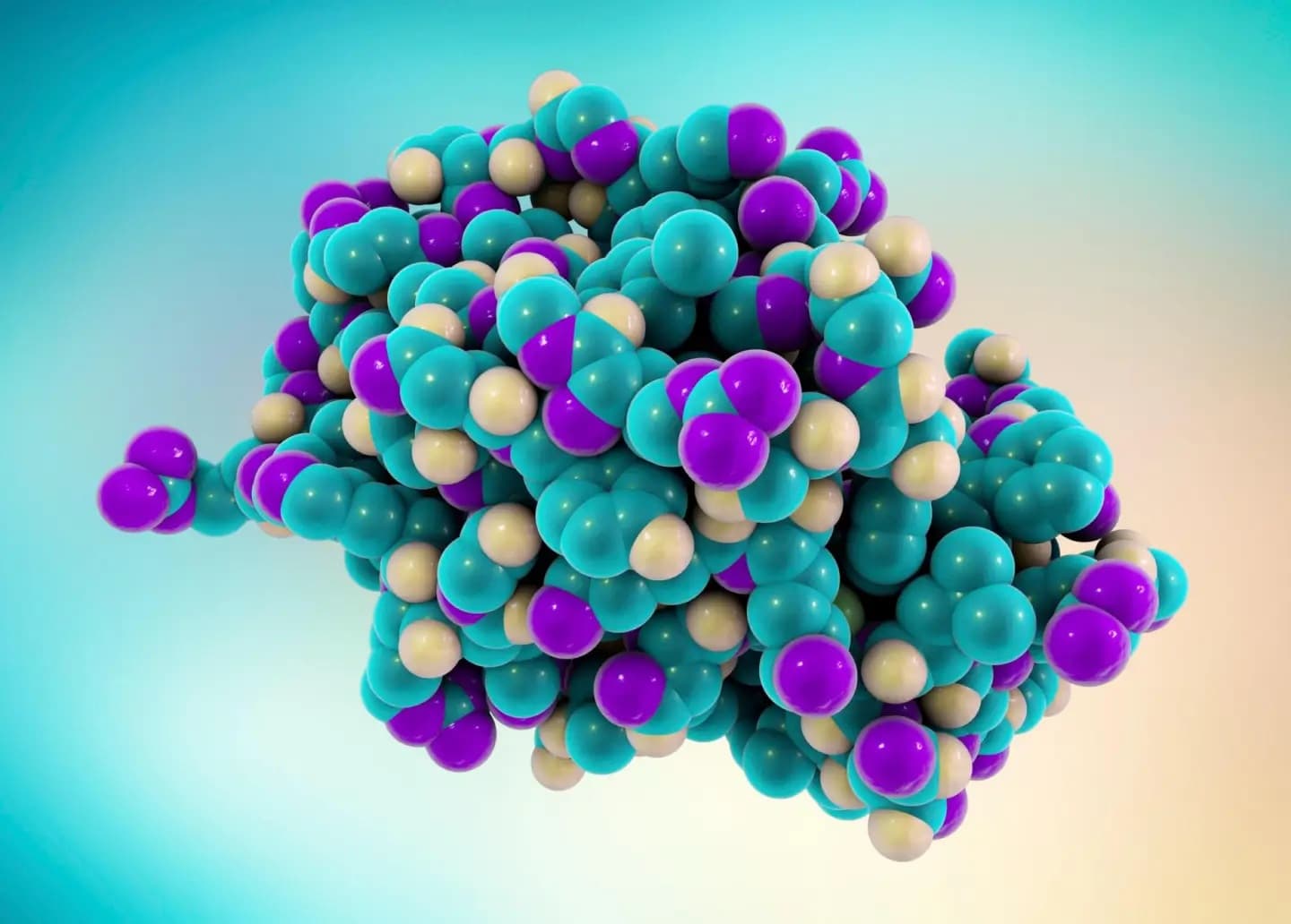 ECOENZYME-LYSO — Lysozyme