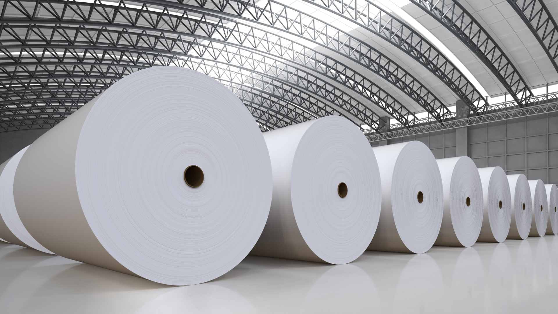 Pulp & Paper