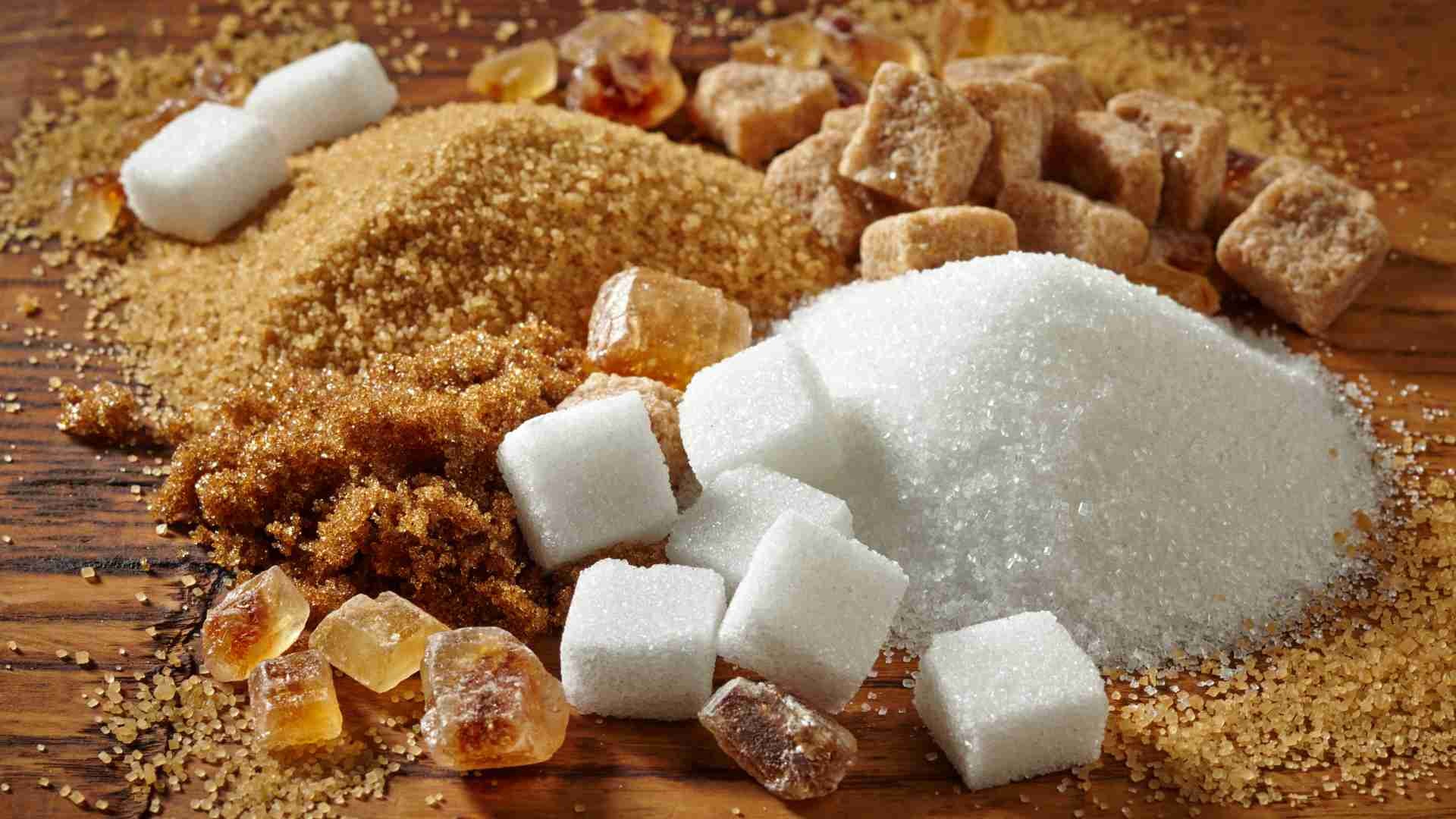 Sugar Processing