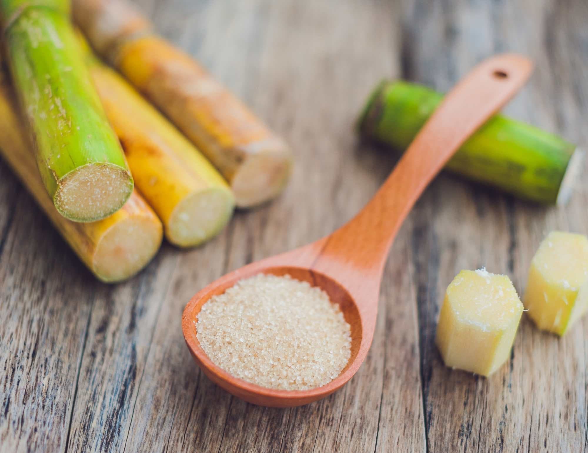 ECOSUGAR-S — Alpha Amylase for Sugar Processing