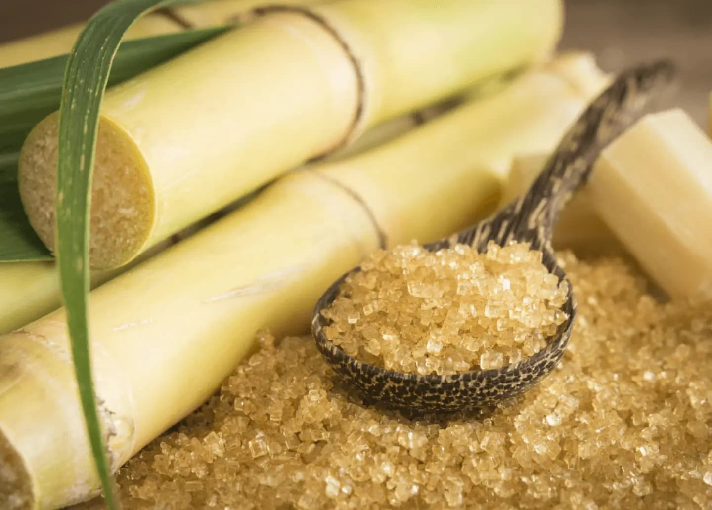 ECOSUGAR-D — Dextranase for Sugar Processing
