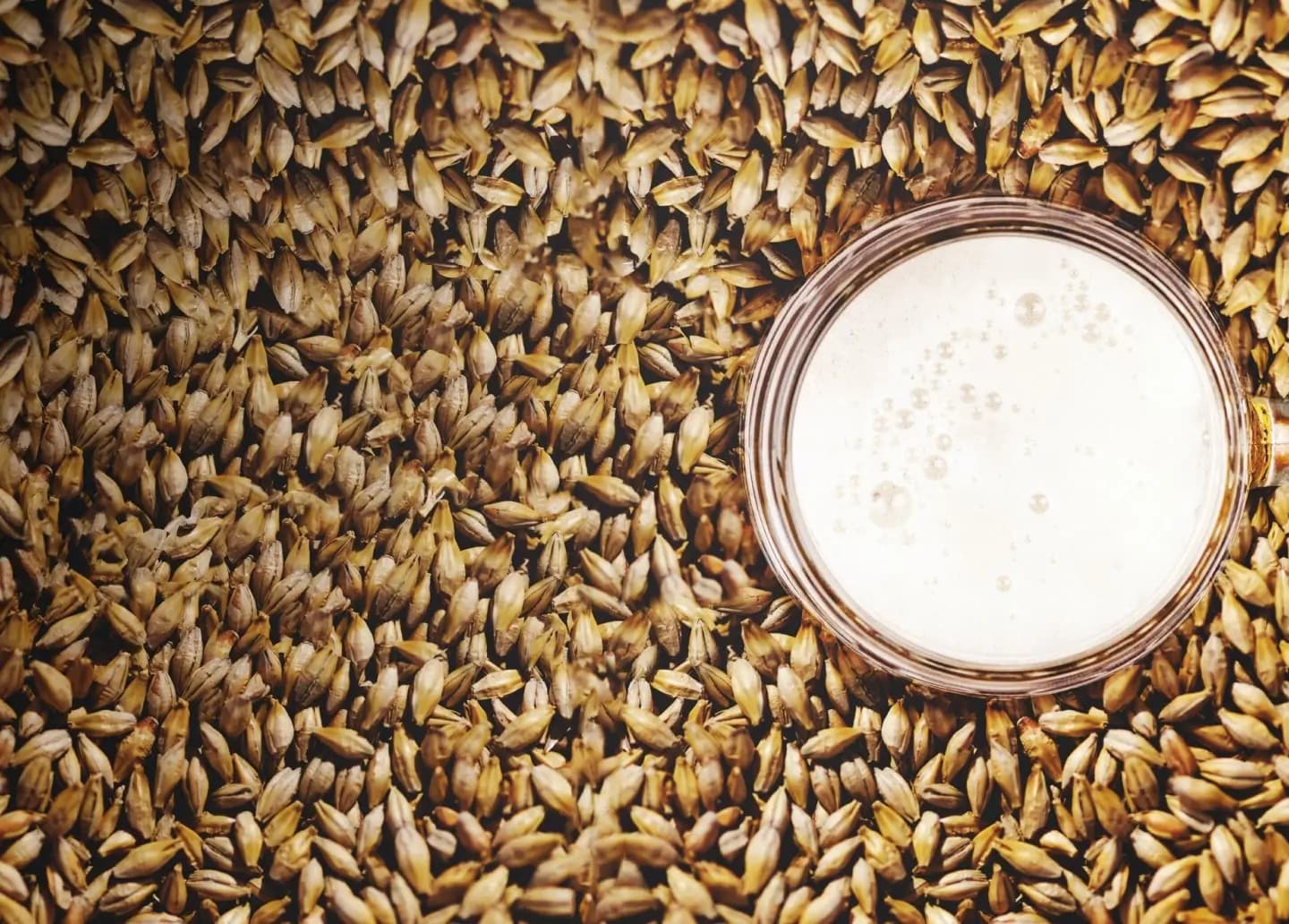 ECOENZYME-S — Multi Enzyme Blend
